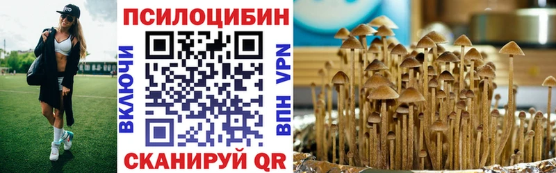 это официальный сайт  Кемерово  Псилоцибиновые грибы мухоморы 